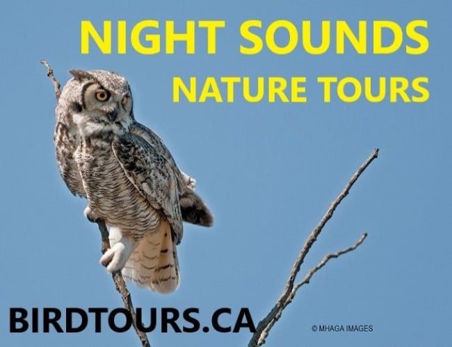 Night Sounds Nature Tour