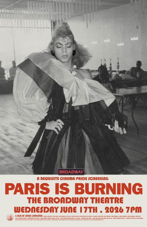 Image of someone wearing a couture dress and posing in what seems to be a ballroom. Image is in black, white and grey.