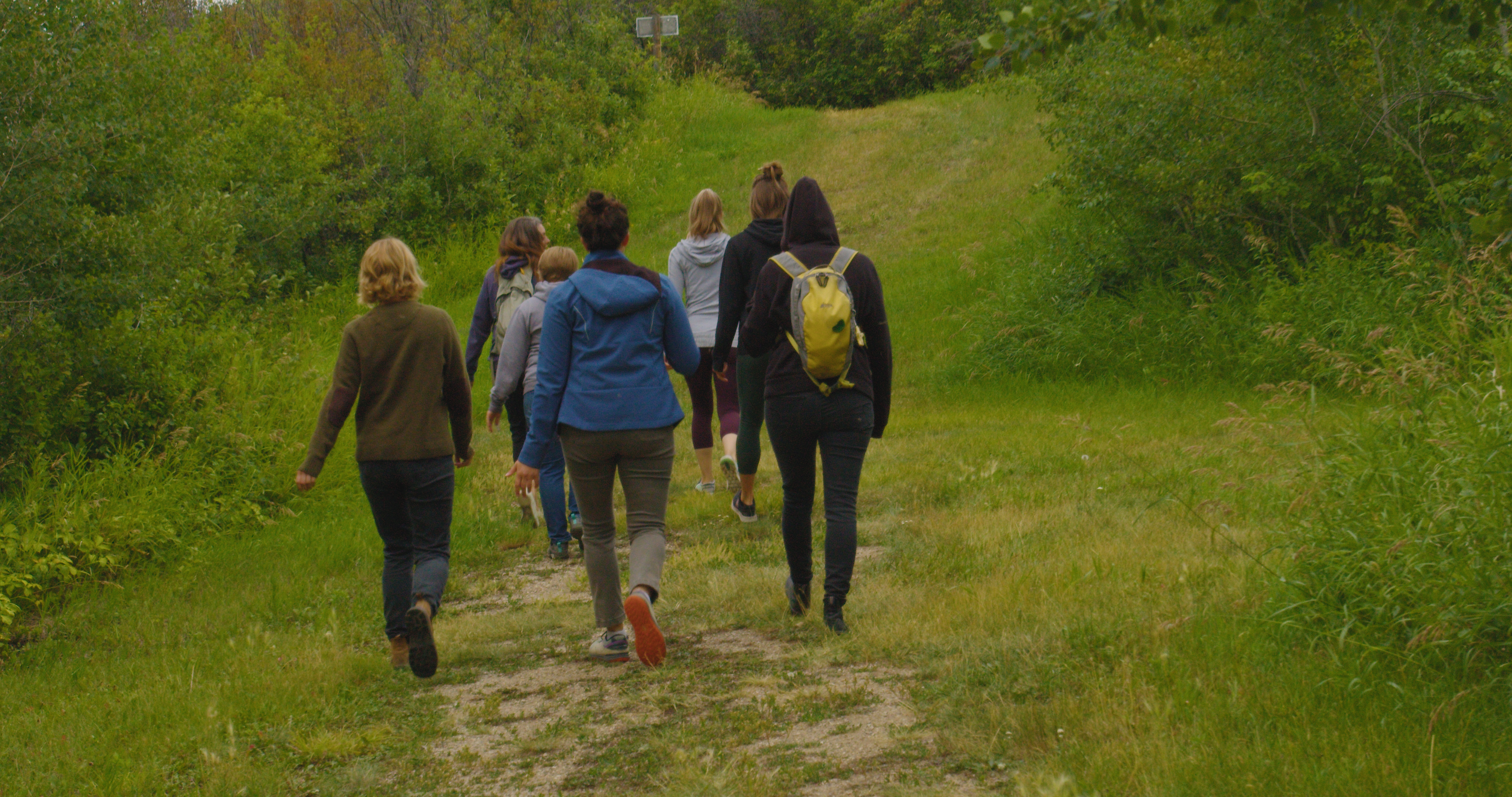 Five Spirits Qigong Hiking Series