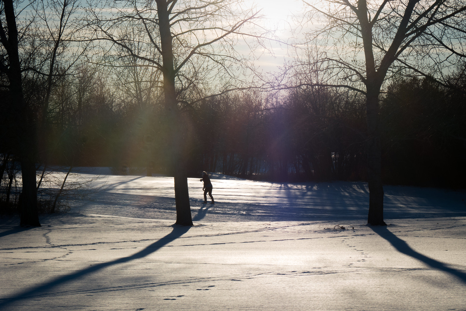 Crosscountry Skiing in Saskatoon A Firsttimer’s Guide Discover