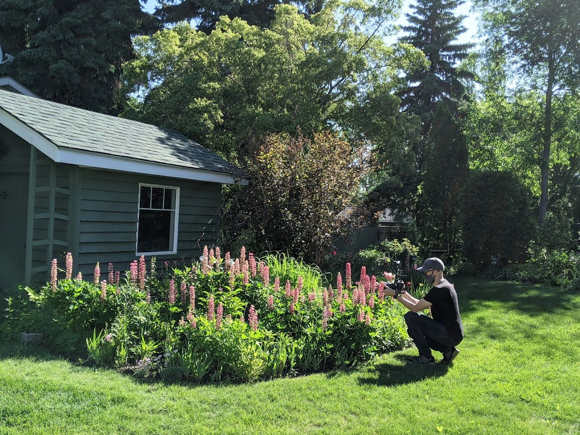 Cultivating Resilience Saskatoon' s Secret Garden Tour Discover