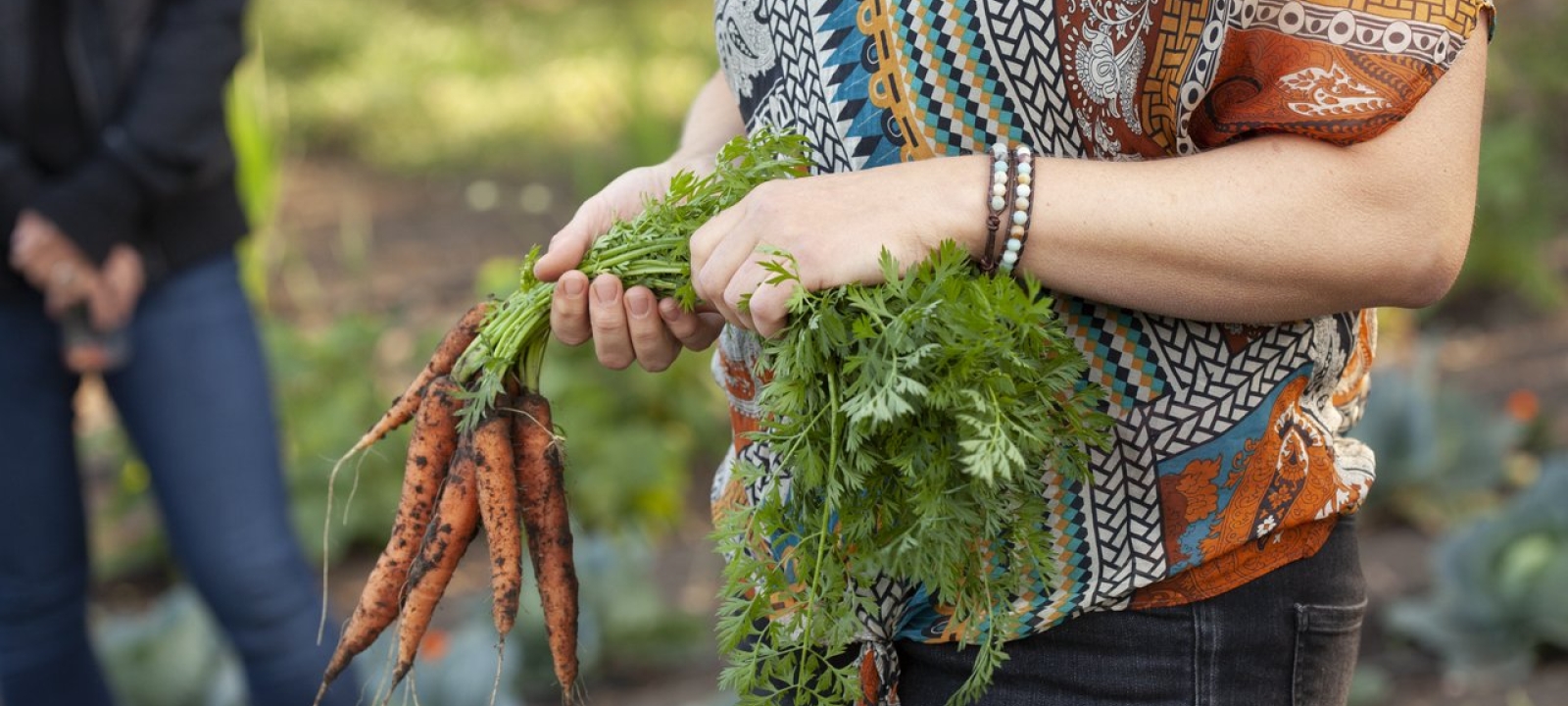 Discovering the delicious soil: Touring farms and gardens in Saskatoon