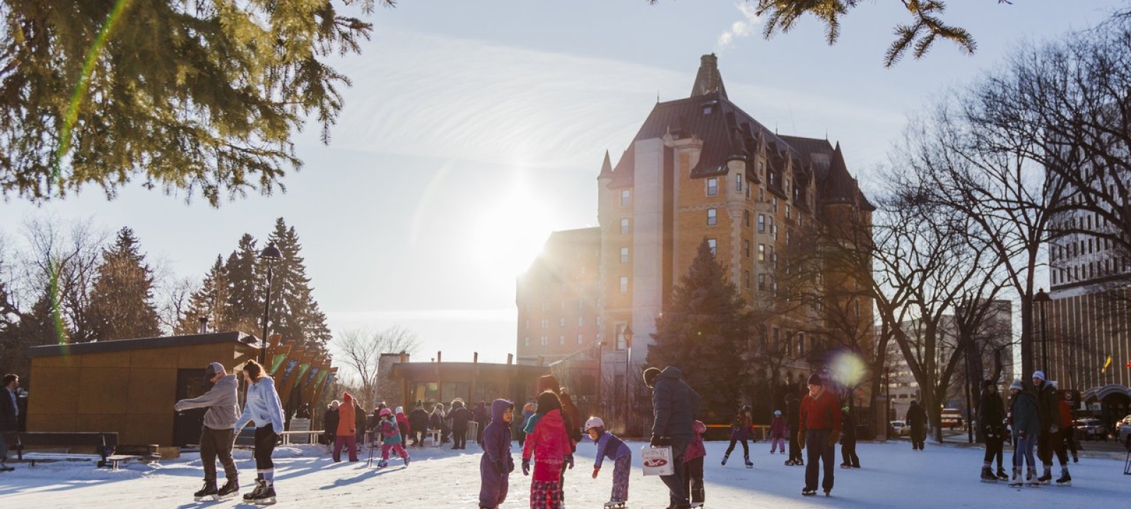 Saskatooning this January