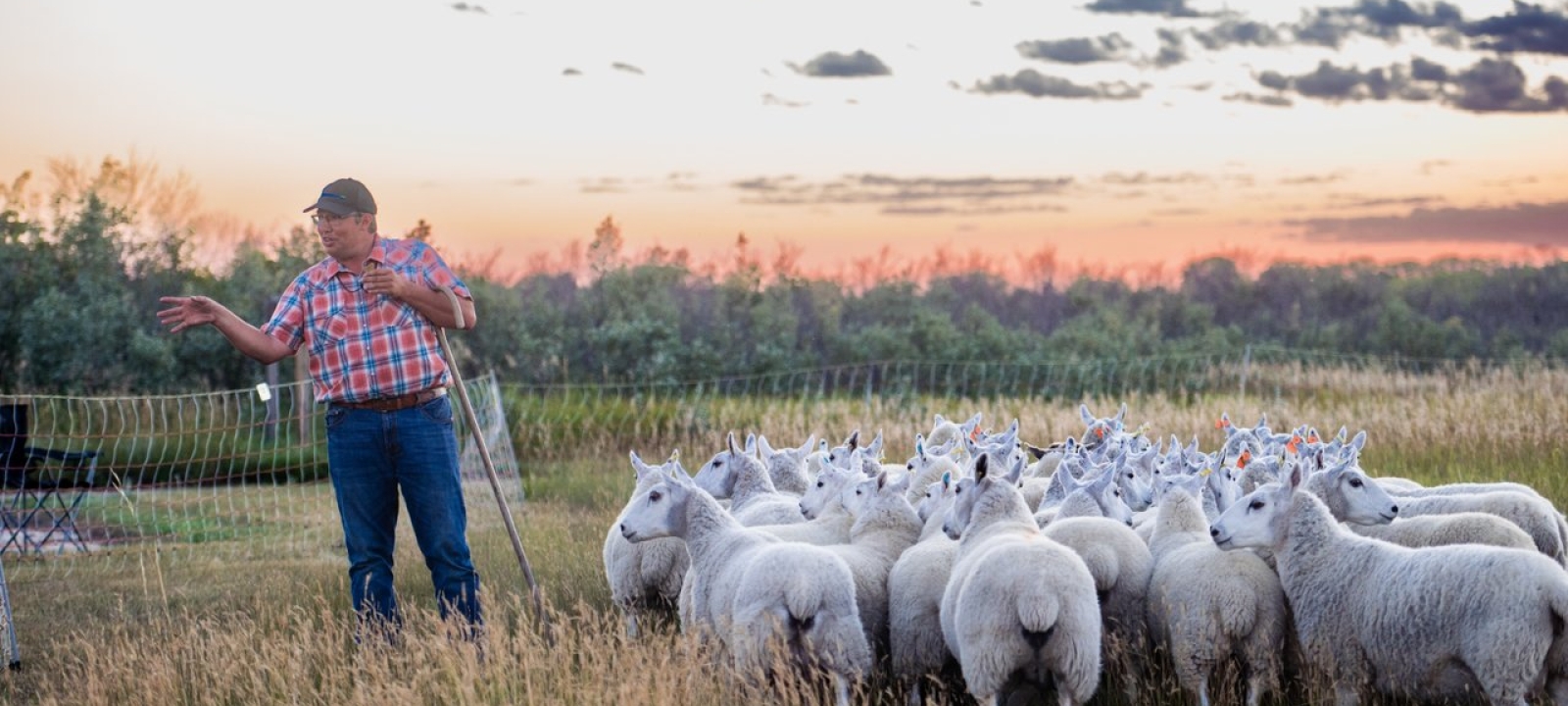 Saskatooning this September