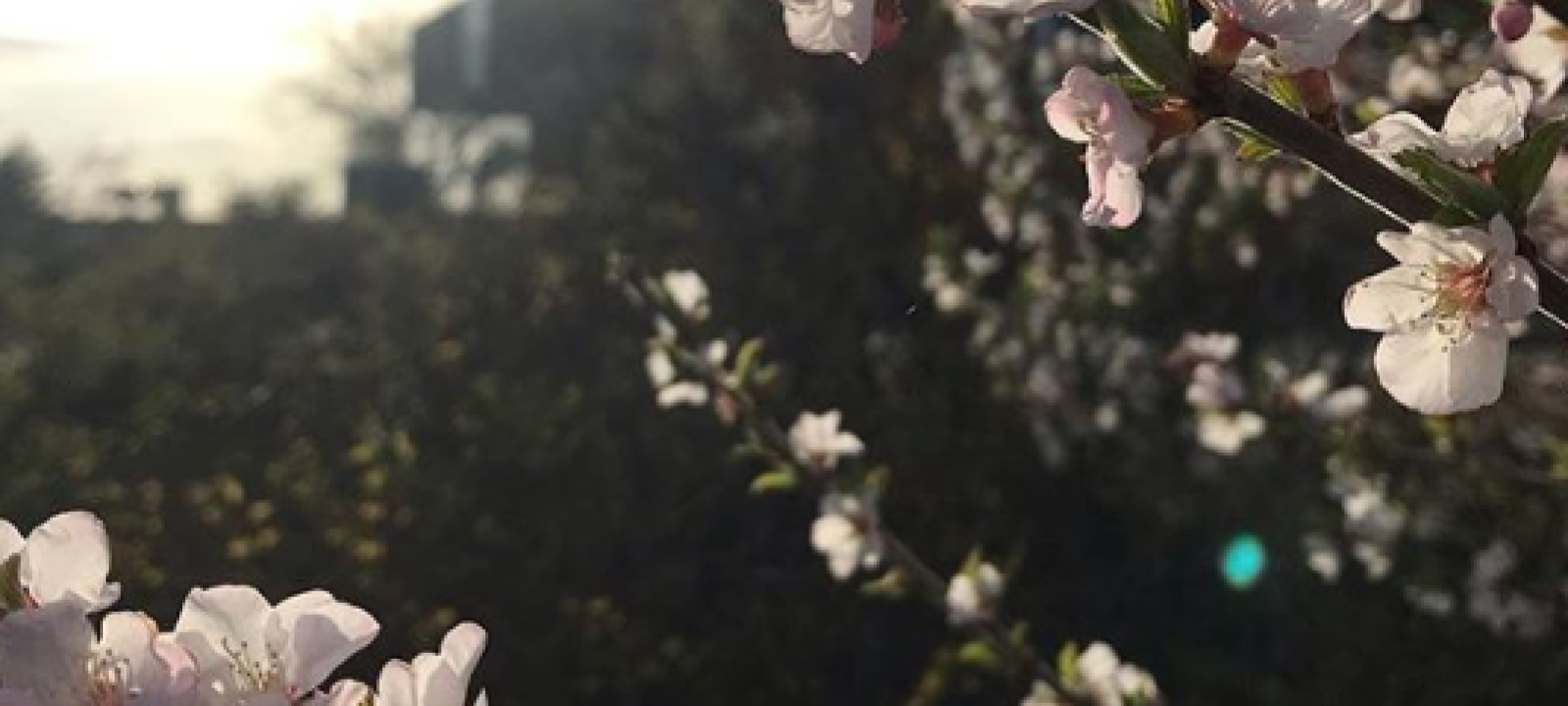 Things to do with Kids in Saskatoon this Spring
