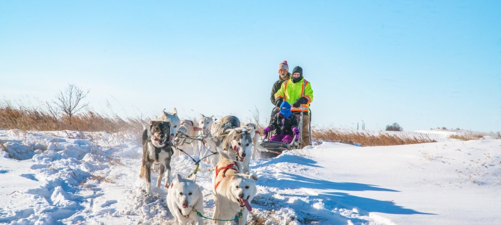 Saskatooning: Your guide to festivals and events in February