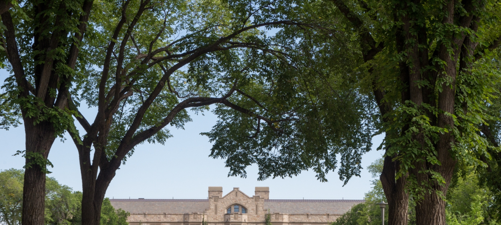 Saskatoon is Canada’s Unlikely City of Trees