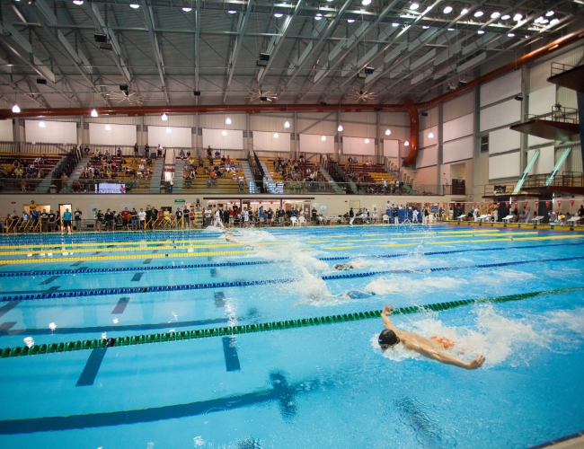 Swimmers doing the butterfly stroke in a competitive sports event