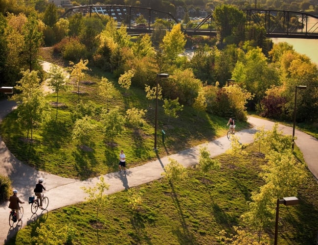 An aerial view of a park with lot of trees and paved paths.
