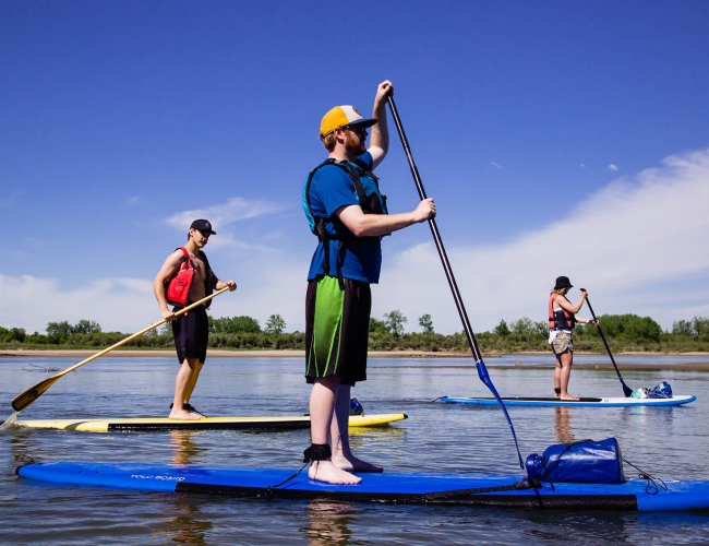Individuals paddleboarding in the sun