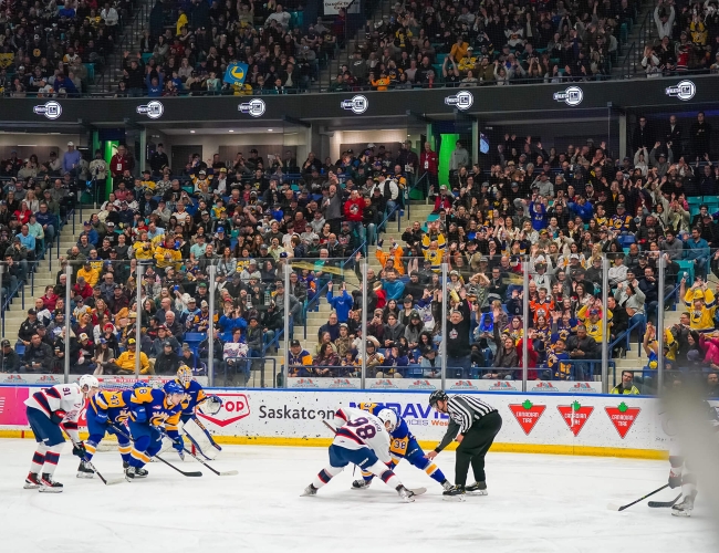 Professional hockey game