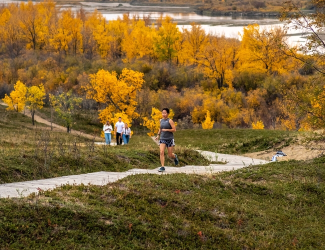 Man running in a park with lots of trees with autumn colours