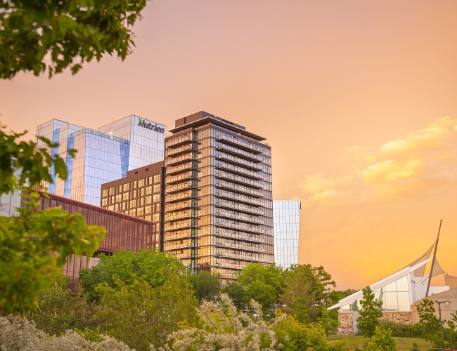 City Buildings against a sunset with trees in the foreground 