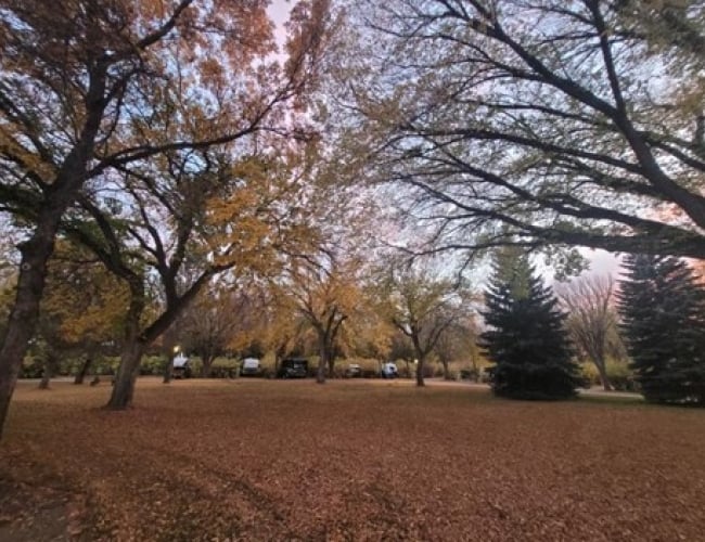 fall scene