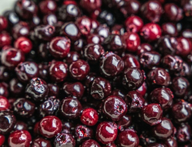 saskatoon berry