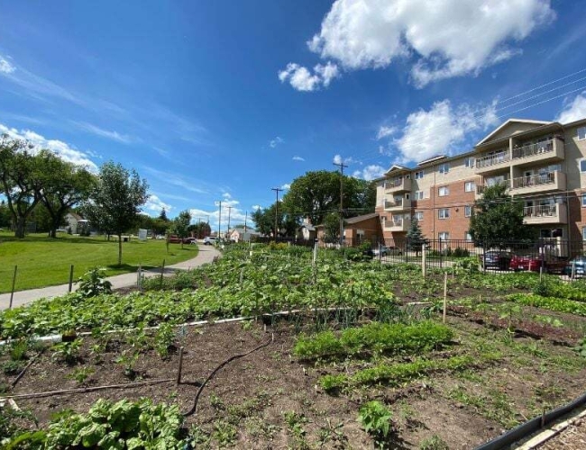 Community Gardens