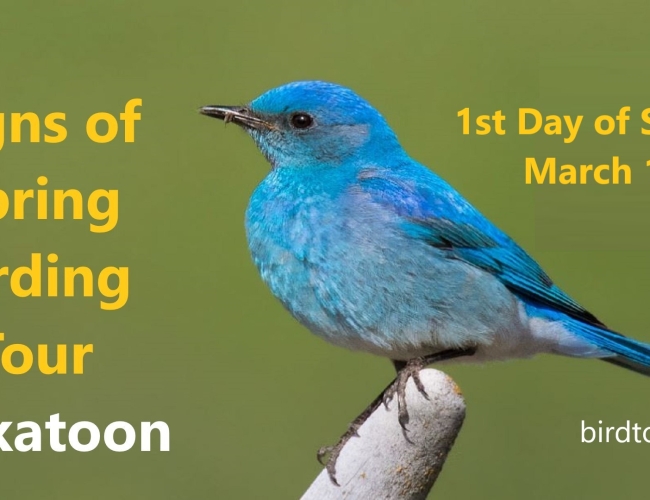 First Day of Spring Birding Tour
