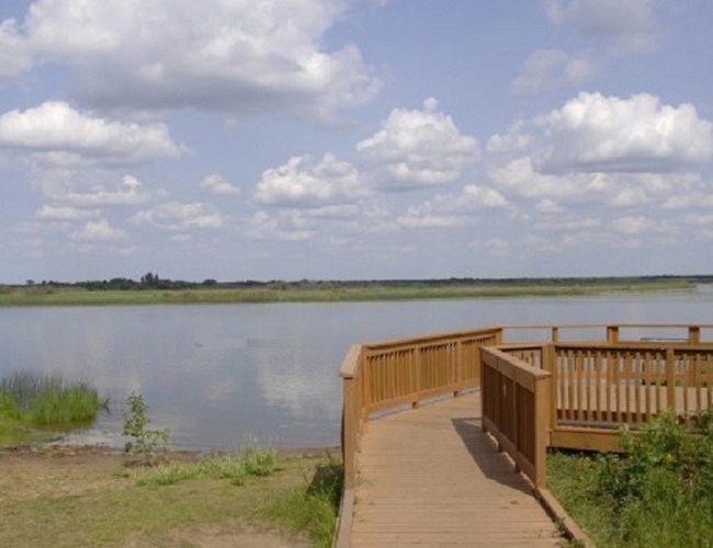 Pike Lake Birding Tour