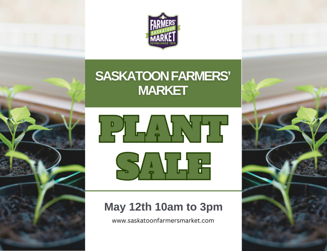 Young plant sprouting out of plant pots with Saskatoon Farmers' Market Plant Sale May 12th 10am to 3pm written in the middle