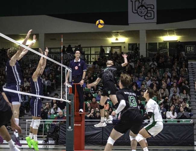 Huskies in Action