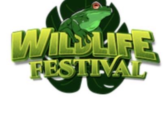 A green frog sitting on top of the text "Wildlife Festival" in a light green/yellow backed by a dark green plant leaf