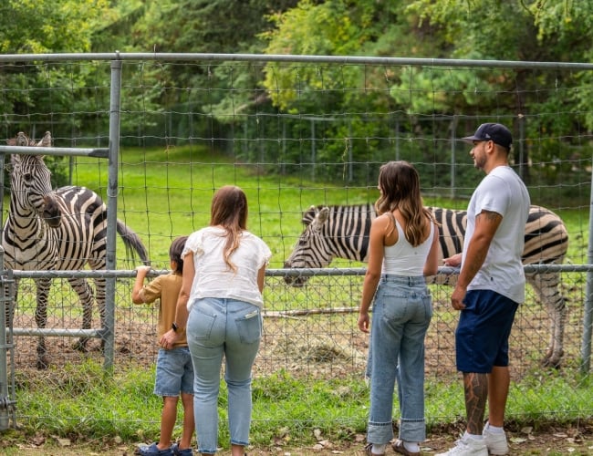 zoo 