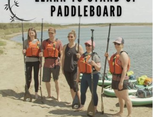Learn to SUP