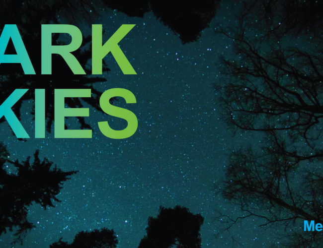 Dark Skies