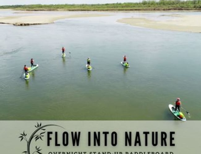 Flow Into Nature