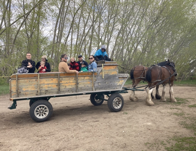horse drawn wagon ride