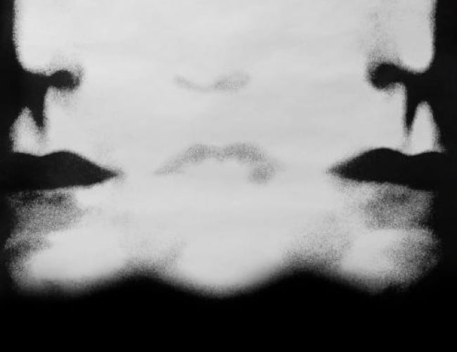 Image from the movie Dead Ringers. Shows two faces merging to create a third in the middle in black and white.