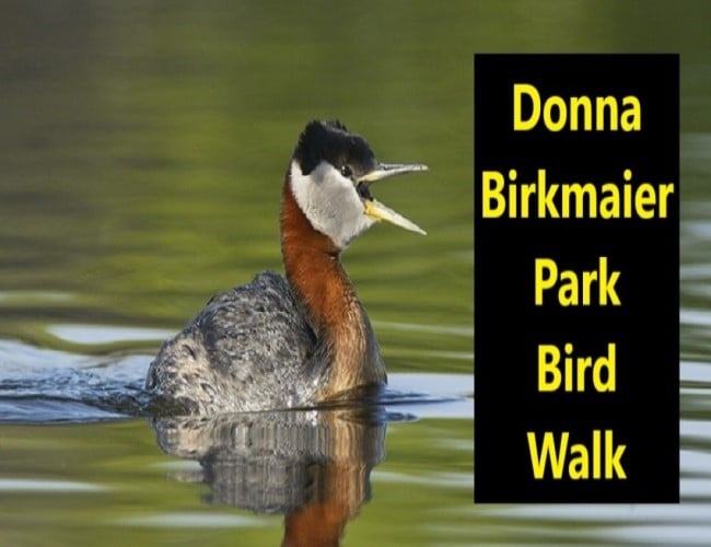 Donna Birkmaier Park Bird Walk