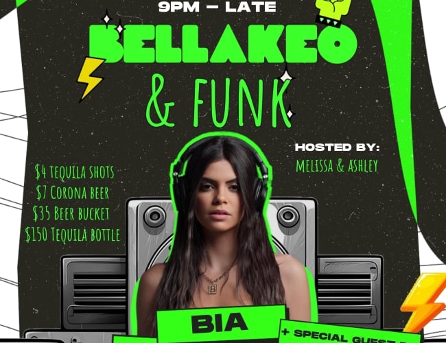Promotional flyer for a family-friendly music event featuring DJs Ashley, Melissa, Brazilian DJ Biao, and a surprise guest on Saturday, June 21st. Bright, colorful design with dancing and musical notes.