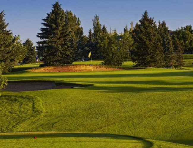 putting green