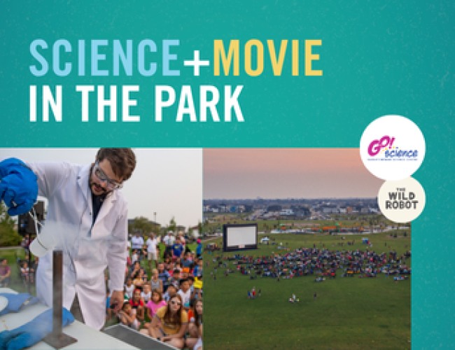 Movie in the Park