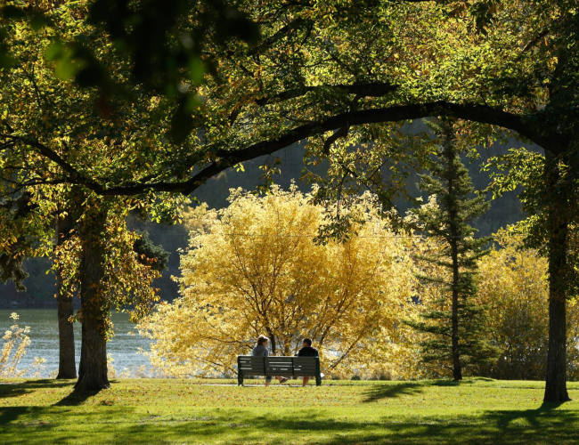 fall