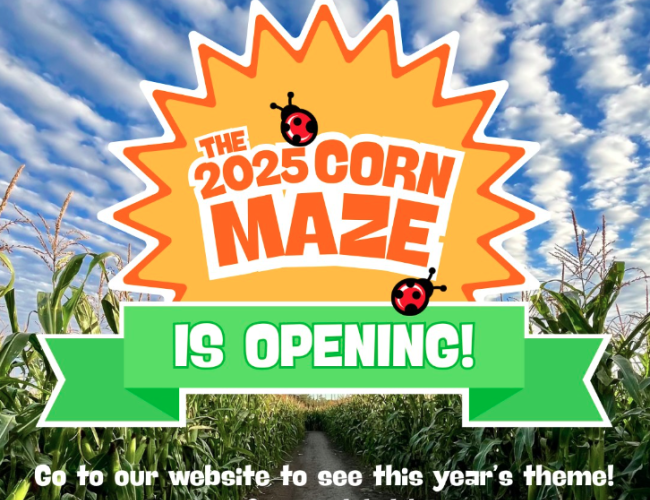 Corn Maze Promotional Poster