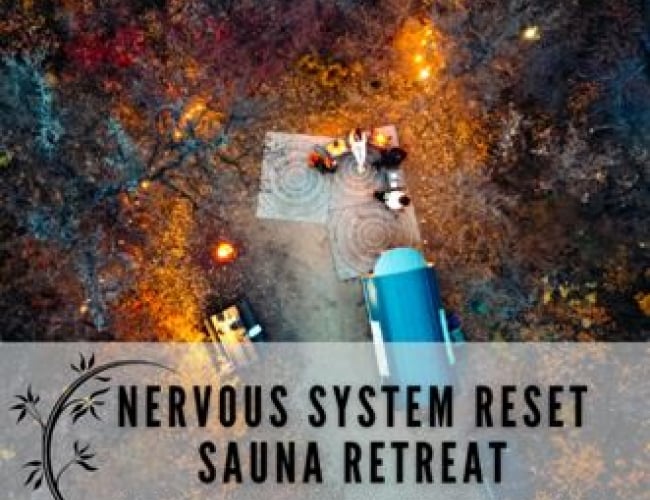Nervous System Reset
