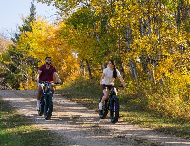 fall saskatoon