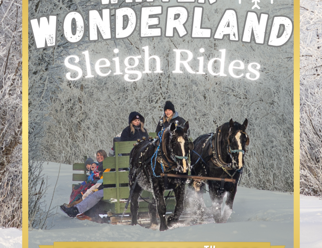 Saskatoon Winter Wonderland Sleigh Rides