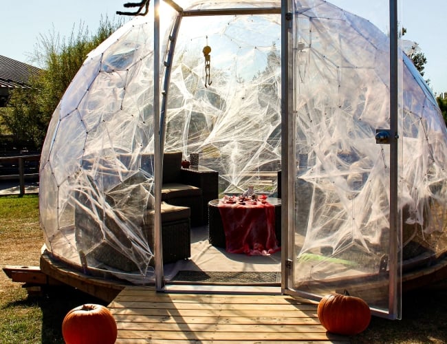 Photo of the Widow's Web.