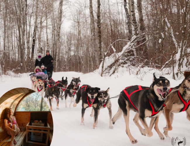 Dogsledding & Sauna