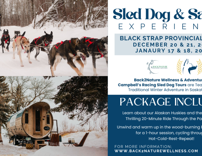 Dog Sledding and Nordic Sauna Experience