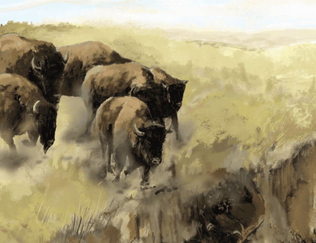 This image is of artwork by Métis artist Jesse Gouchey. It features 5 buffalo moving in a group across a grassy bluff. 