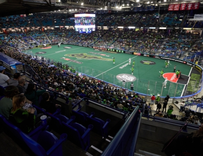 Saskatoon rush