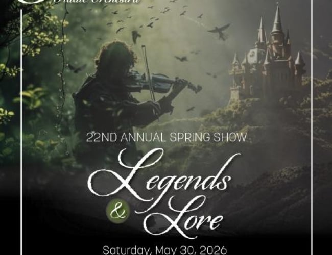 image of someone playing the violin in a forest with a castle in the far distance, and birds flying around. 