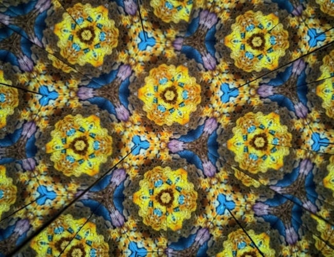 Joanne Lyons, Untitled, 2026, video, colour, silent, looped. Courtesy of the artist.