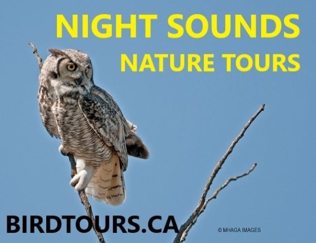 Night Sounds Nature Tour