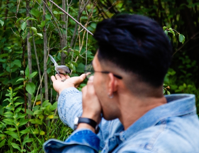 Bird Watching