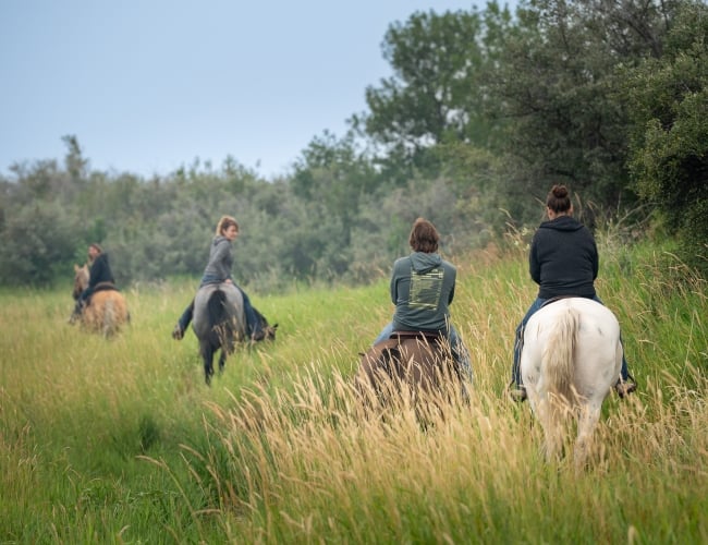 Saddle & Paddle Retreat